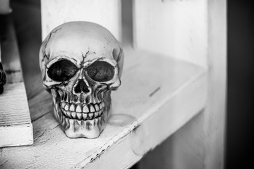 Objet décoratif tête de mort squelette