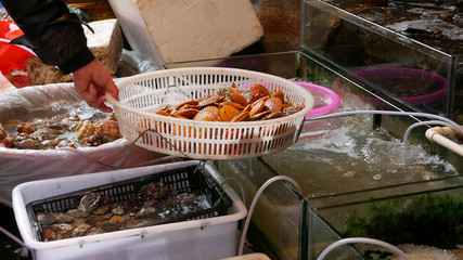 Scallops at the fish market in China