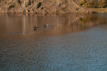 Background close-up, ice and stones