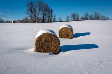 Two Hay Bales in the Snow Casting Shadows - 332150819