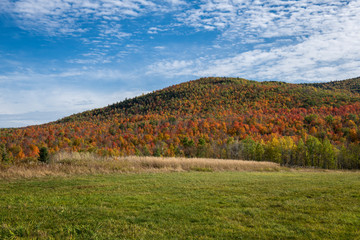 Autumn Hillside in the Adirondack Mountains of New York - 332151043