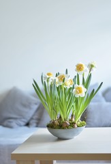 natural spring decoration in the living room