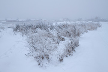 foggy field on the outskirts of a village on a winter morning
