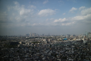 高層ビル（キャロットタワー）からの東京を眺める
