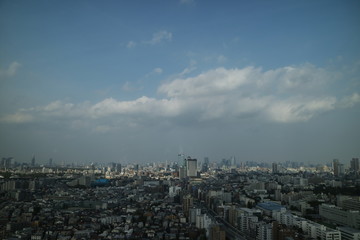 高層ビル（キャロットタワー）からの東京を眺める
