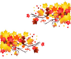 Fototapeta na wymiar Free vector autumn leaves free vector