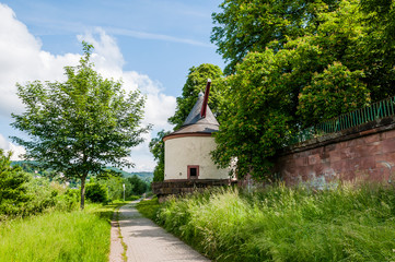 Trier, Mosel, Moselkran, Landkran, Fluss, Moselufer, Uferweg, Radtour, Spazierweg, Römerbrücke,...