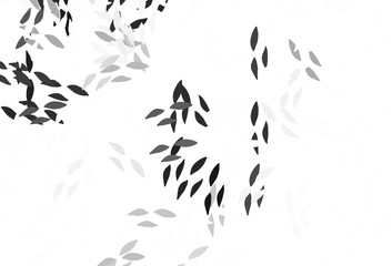 Light Gray vector elegant template with leaves.