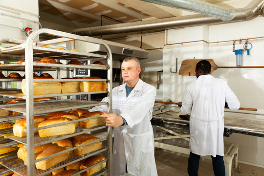 Bakery Worker Pushing Trolley With Baked Loaves