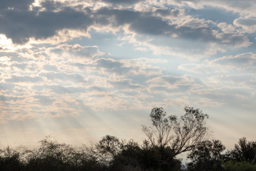 The colors and hues of the rural landscape in Latin America at dusk.NEF