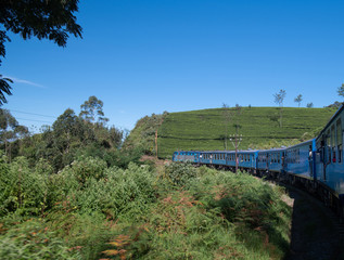 Famous train ride in Ella, Sri Lanka