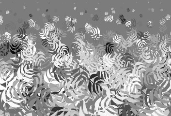 Fototapeta premium Light Gray vector doodle template with leaves.