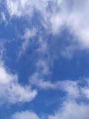 Fototapeta premium blue sky with clouds