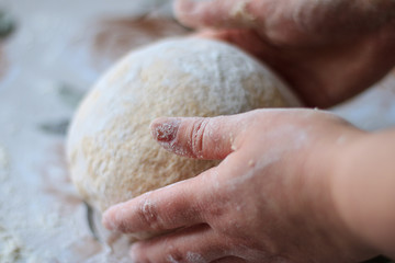 Female hands knead home made whole wheat bread. Dinkel flour bread kneading. Whole wheat bread made from spelled and rye flour. Woman's hands knead dough on a table  sprinkled with flour.