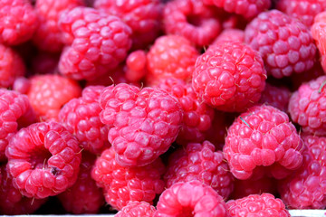 Fresh raspberries fruit background , macro close up raspberry
