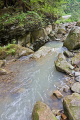 Naklejka na ściany i meble Mountain forest creek with a waterfall in the Carpathian Mountains