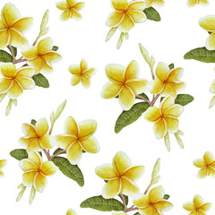 watercolor hand drawn seamless pattern elegant trendy exotic tropical plumeria frangipani for summer vacation holiday in hawaii thailand floral botanical illustration for spa textile wrapping paper