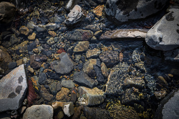 summer sunshine creates beautiful patterns on river stones under water