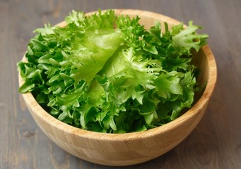 Green fresh lettuce phryllis closeup