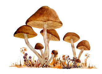 watercolor hand drawn wild natural poisonous dangerous mushroom illustration composition of webcap fungi with brown ochre caps in fall autumn forest wood grass for nature lovers for Halloween design © Marina Lahereva