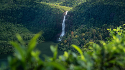 Fototapeta na wymiar Beautiful Waterfalls in Maskeliya, Sri Lanka