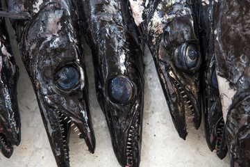 Espada fish on traditional fish market in Funchal at Madeira island, Portugal