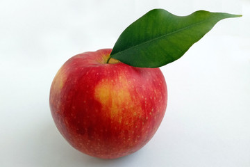 A red apple with a green leaf on a white background. A close-up apple with a large green leaf.