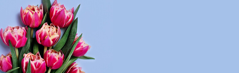 Fototapeta premium A festive picture with flowers.