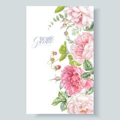 Watercolor border with pink roses and berries