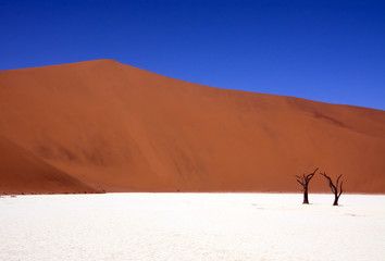 Blue, orange & withe desert