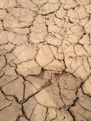 Dried Cracked Mud Southern Africa