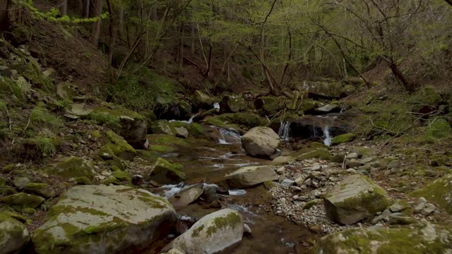 森の中を流れる沢