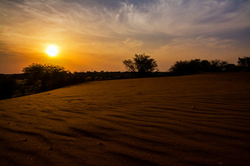 Desert sunset