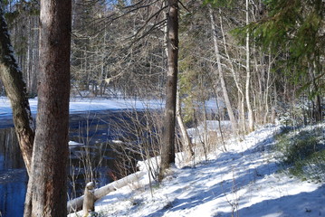 slow river on a frosty spring day