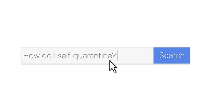 A graphical web search box asking the question, "How do I self-quarantine?" With optional luma matte.  	