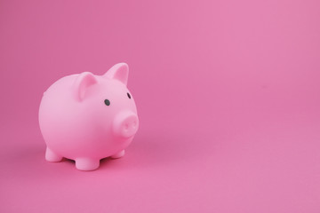 Pink piggy bank on the pink background.Concept of saving money, investment, banking or business services.
