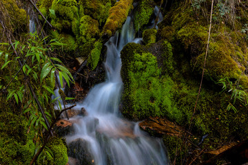 Long exposure shot wild creek surrounded by mossy rocks in Los Alerces National Park, Patagonia, Argentina