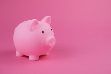 Pink piggy bank on the pink background.Concept of saving money, investment, banking or business services.