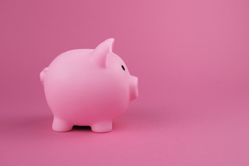 Pink piggy bank on the pink background.Concept of saving money, investment, banking or business services.