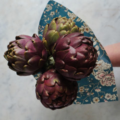 Artichokes Still Life White Background