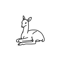 Wild young deer baby fawn vector outline black white sketch illustration.