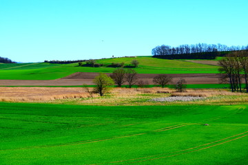 frühlingshafe Eifel, Thürer Wiesen 03/2020