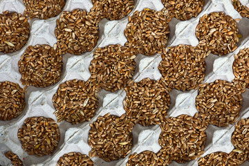 wheat grains in a tray