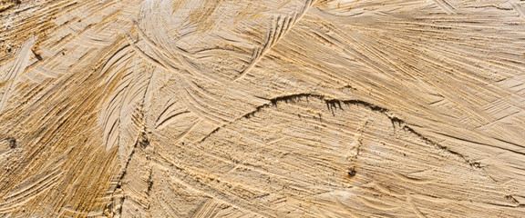 textur of wood trunk stump