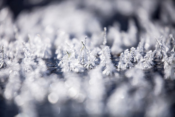 Close up of frozen grass