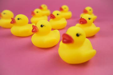 Close up of a rubber duck on the pink background..