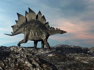 Stegosaurus walking on the hill by sunset - 3D render
