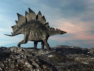 Stegosaurus walking on the hill by sunset - 3D render © Elenarts