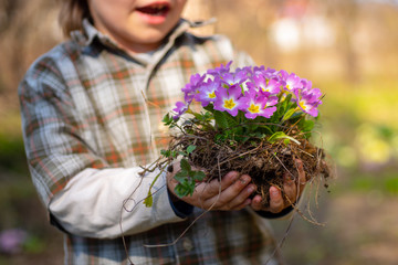 Portrait of kid gardener carrying harvested in farm. Child spend time in the orchard. Kid holding...