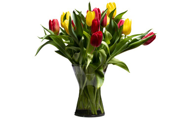 bouquet of tulips in vase isolated on white